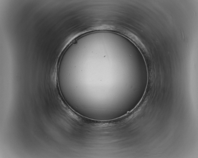 X0000116141228200911301514
