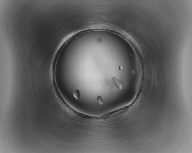 X0000116141230200911301514