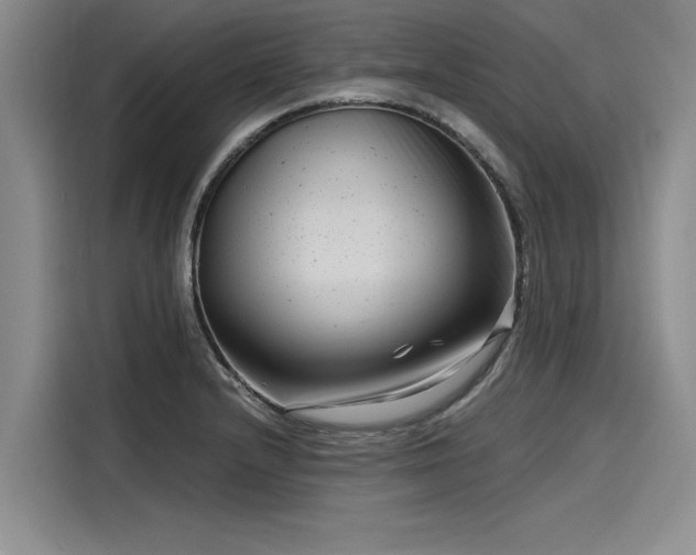 X0000116141232200911301514
