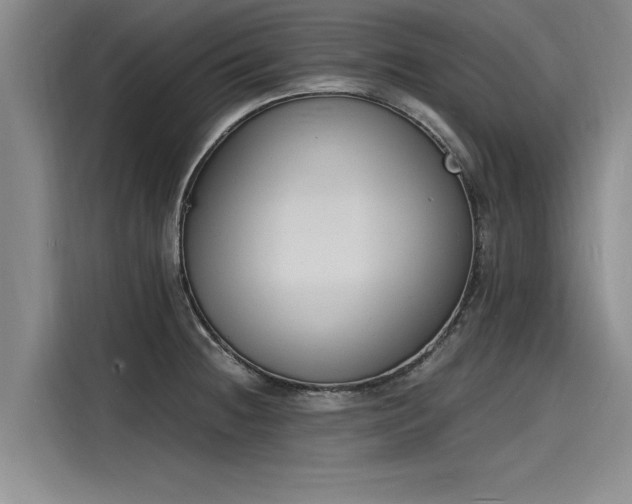 X0000116141236200911301514