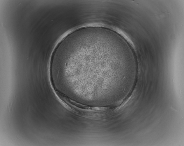 X0000116141237200911301514