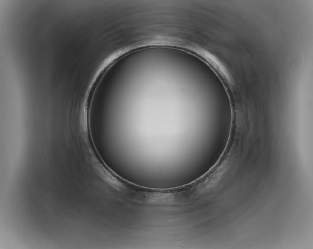 X0000116141238200911301514