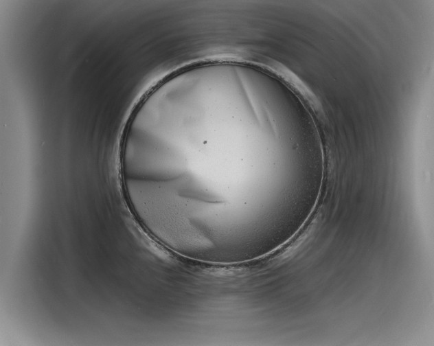 X0000116141240200911301514