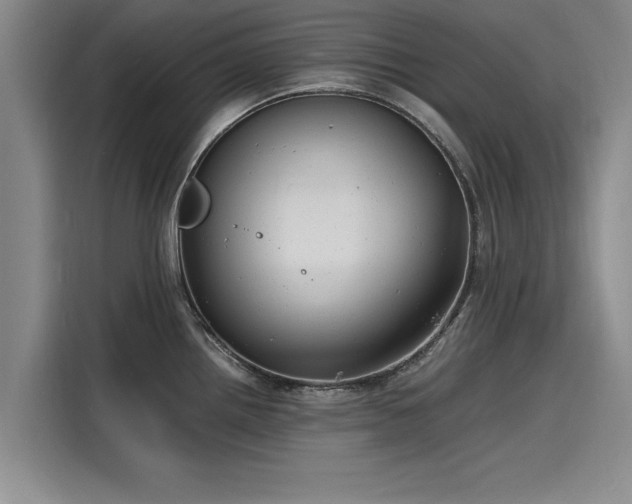 X0000116141242200911301514