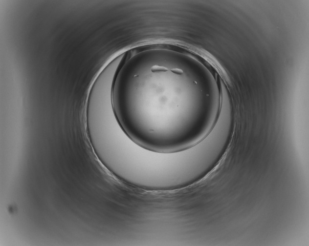X0000116141244200911301514