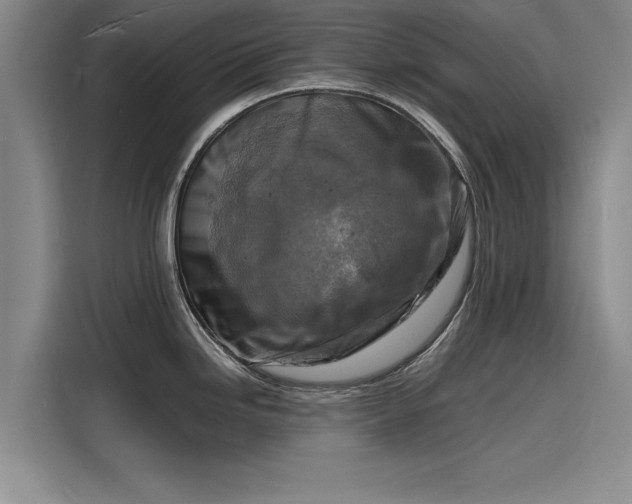 X0000116141246200911301514