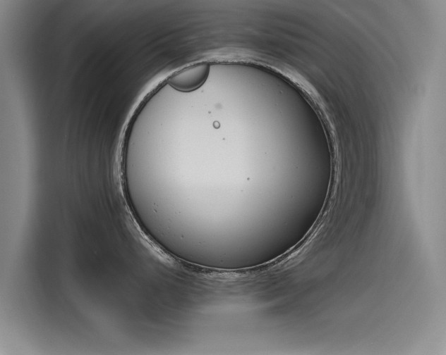 X0000116141248200911301514