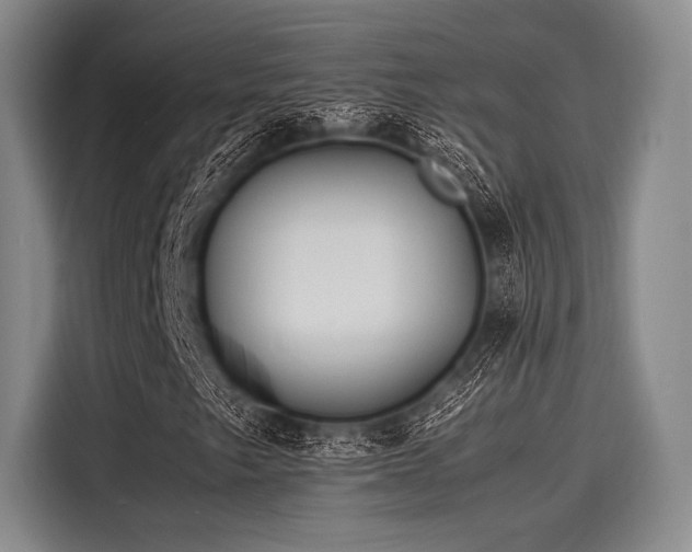 X0000116141249200911301514