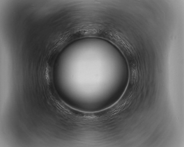 X0000116141250200911301514