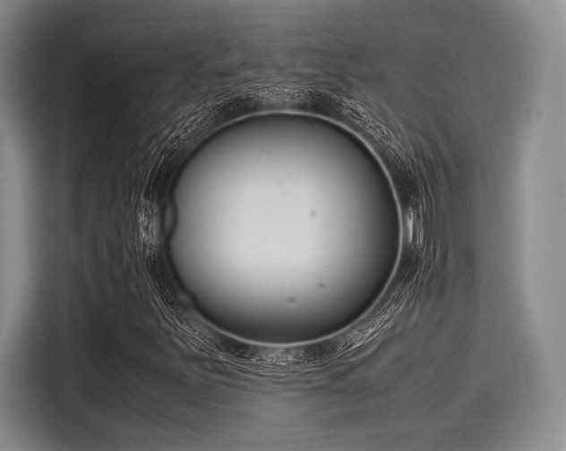X0000116141251200911301514