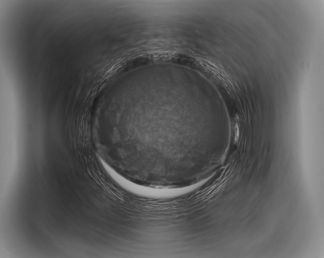 X0000116141252200911301514