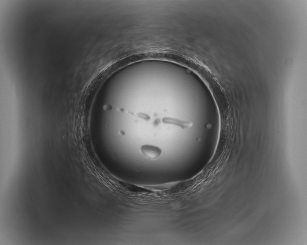 X0000116141255200911301514