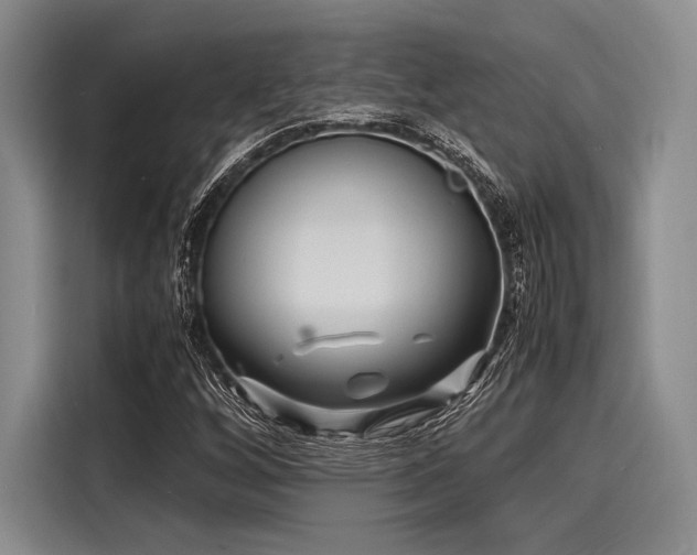 X0000116141256200911301514