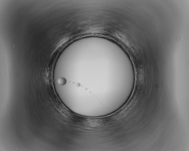 X0000116141258200911301513