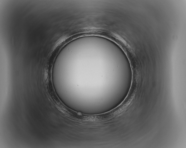 X0000116141259200911301513