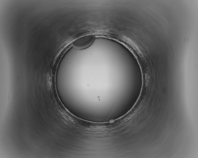 X0000116141260200911301513