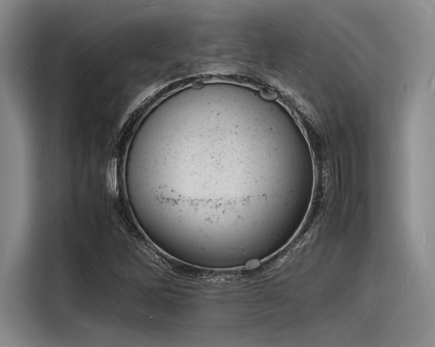 X0000116141262200911301513