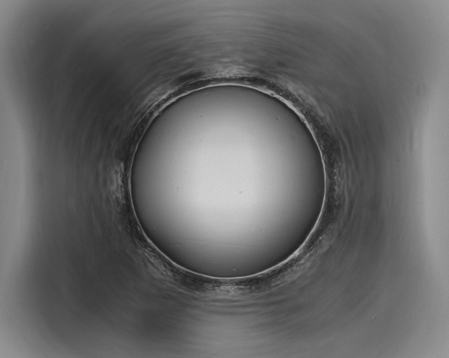 X0000116141265200911301513