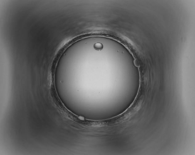X0000116141267200911301513