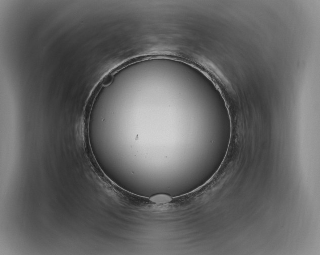 X0000116141268200911301513
