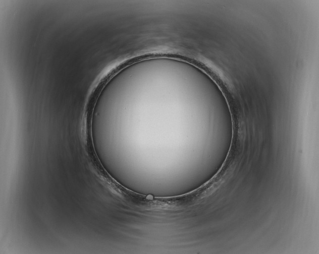 X0000116141270200911301513