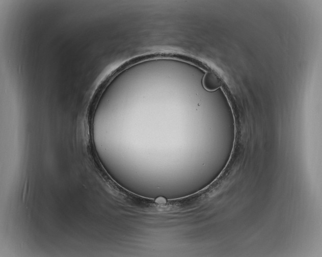 X0000116141271200911301513