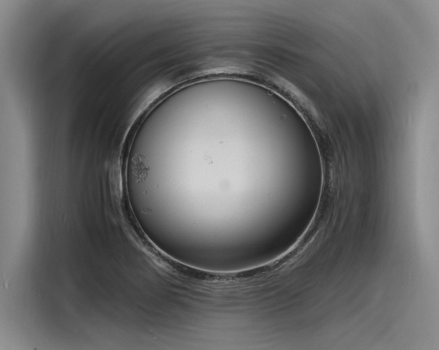 X0000116141274200911301513