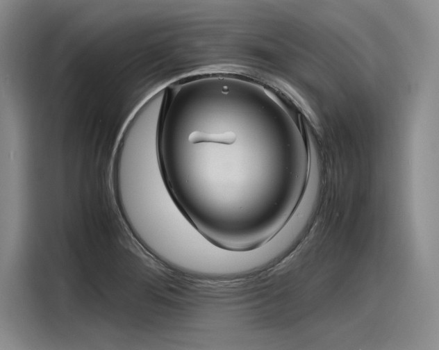 X0000116141276200911301513