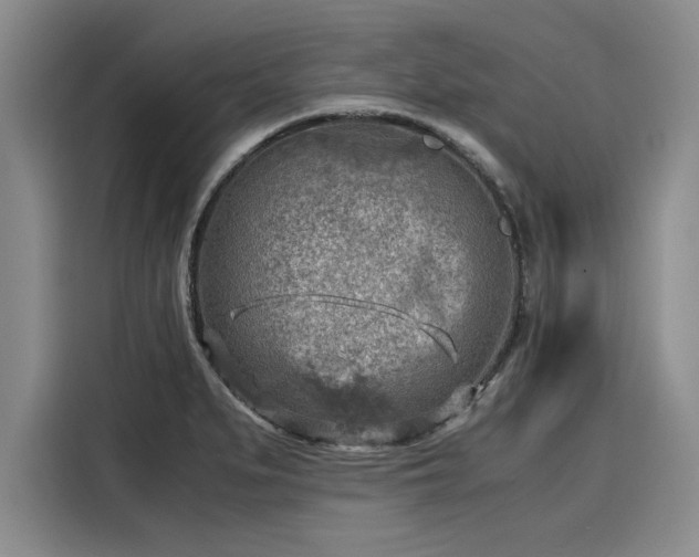 X0000116141279200911301513