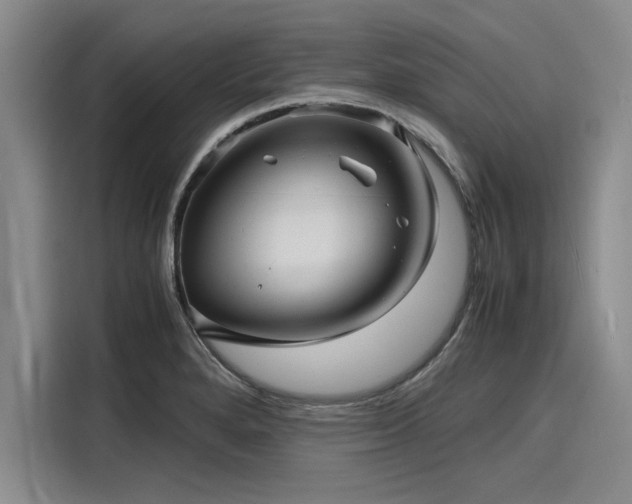 X0000116141280200911301513