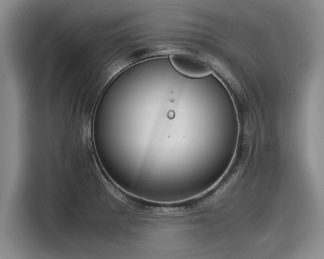 X0000116141281200911301513