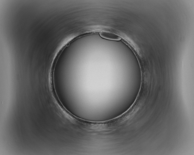 X0000116141285200911301513