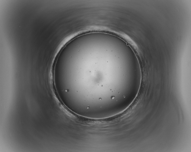 X0000116141287200911301513