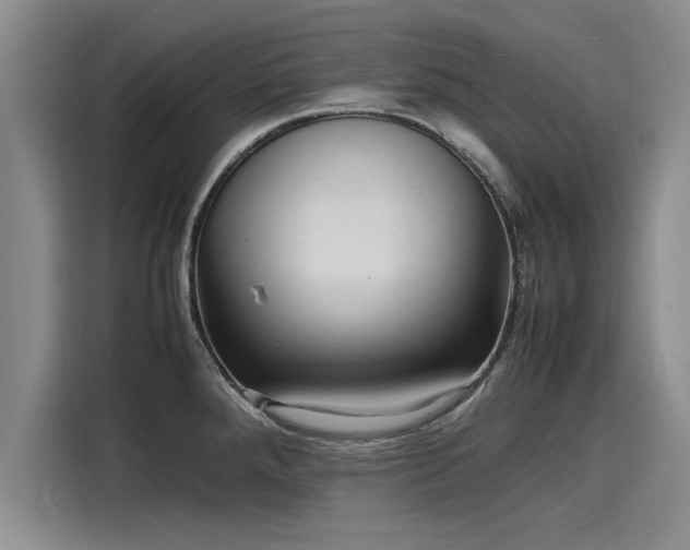 X0000116141288200911301513