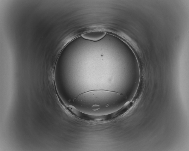 X0000116141289200911301513