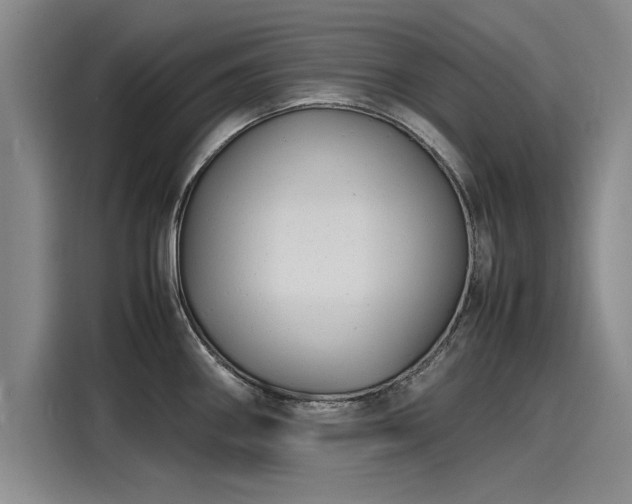X0000116141290200911301513