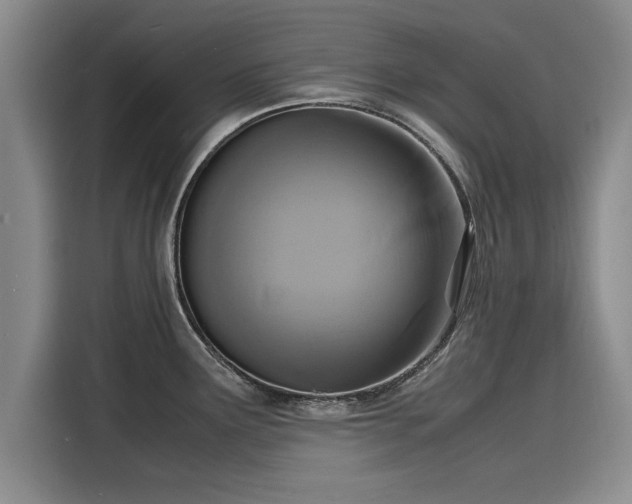 X0000116141291200911301513