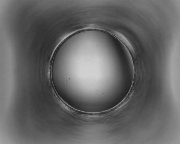 X0000116141292200911301513