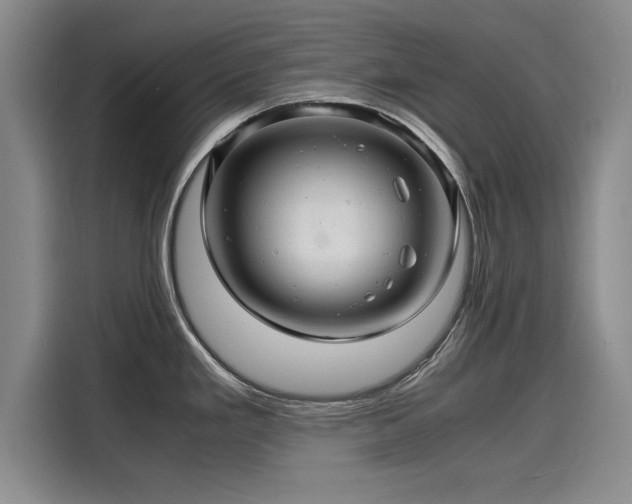 X0000116141293200911301513