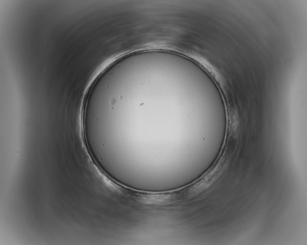 X0000116141294200911301513