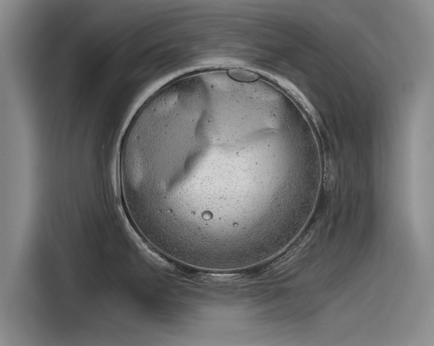 X0000116141295200911301513