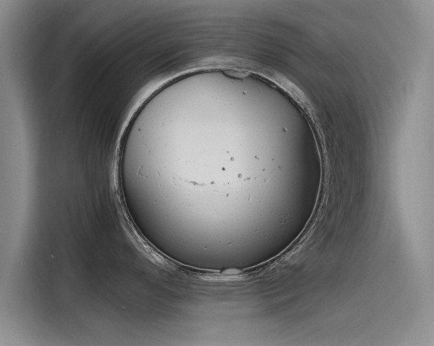 X0000116141296200911301513