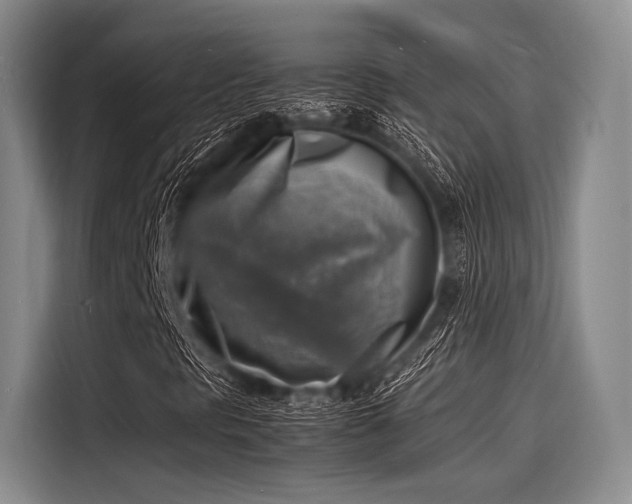 X0000116141297200911301512