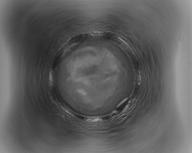 X0000116141298200911301512