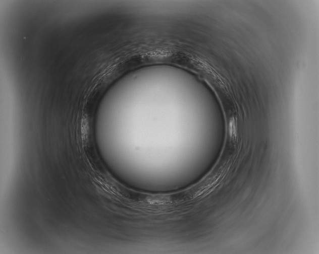X0000116141299200911301512