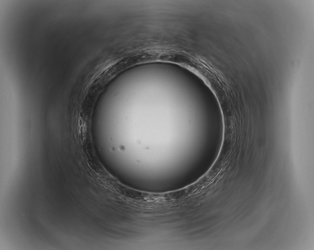 X0000116141302200911301512