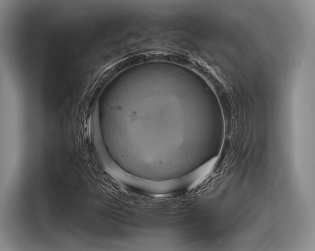 X0000116141303200911301512