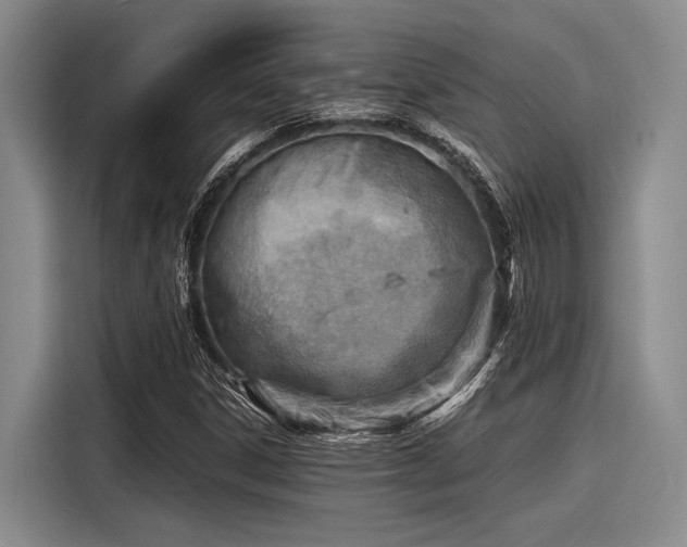X0000116141306200911301512