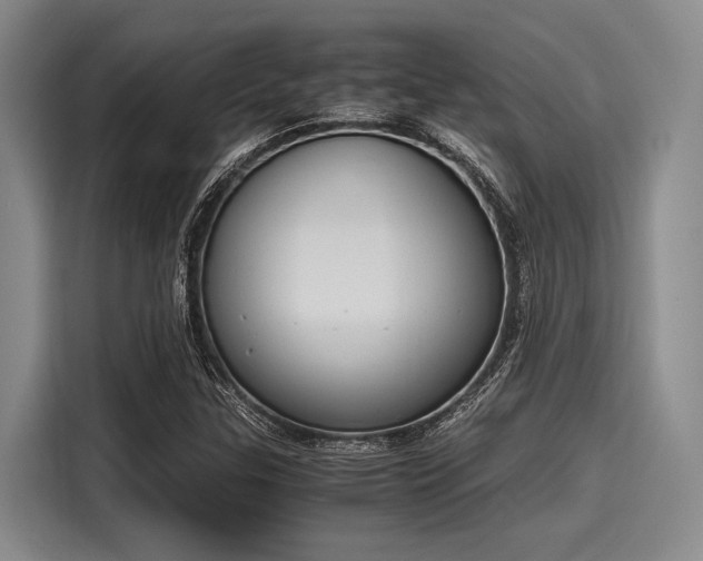 X0000116141307200911301513