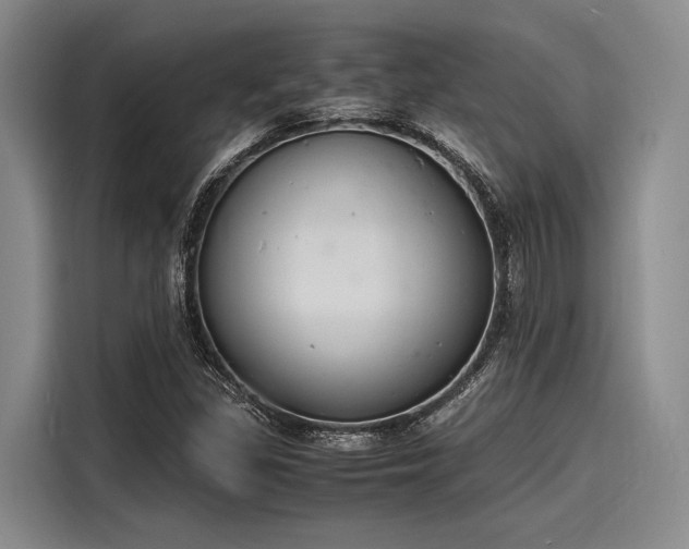 X0000116141309200911301513